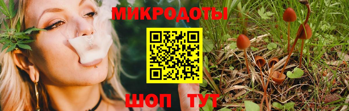 Пыть-Ях  Псилоцибиновые грибы Psilocybine cubensis  Вход с VPN 